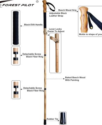 trekking-poles-_1